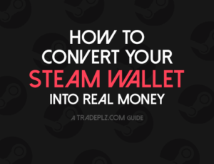 convert steam wallet guide