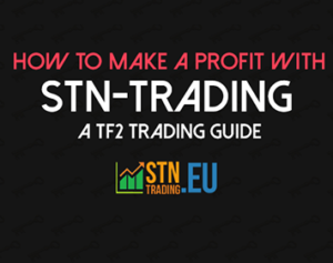 STN Trading profit guide